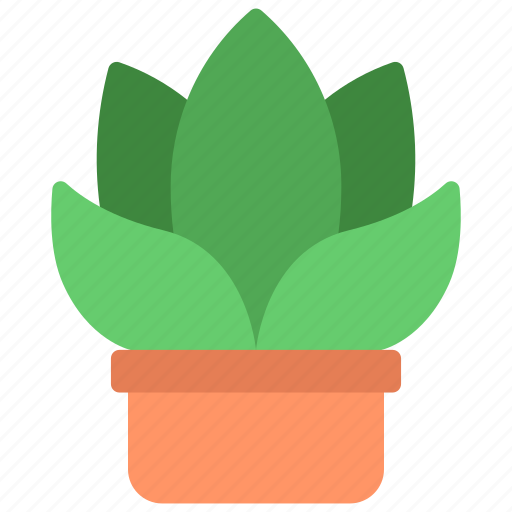 Gasteria, plant, gardening, botany, flower icon - Download on Iconfinder