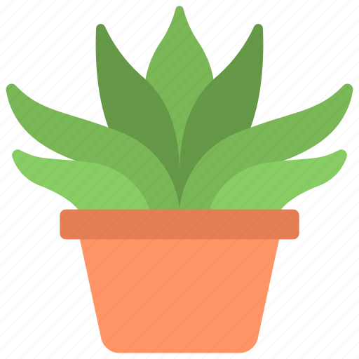 Gasteria, gardening, flower, potted, plant icon - Download on Iconfinder