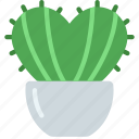 heart, shaped, cactus, gardening, cacti, potted