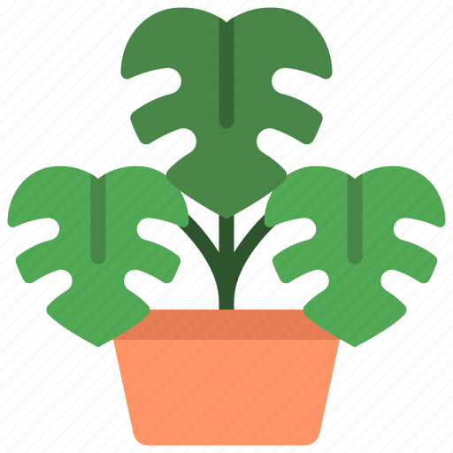 Monstera, gardening, plant, potted, cheese icon - Download on Iconfinder