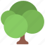 multiple, circular, tree, gardening, greenery 