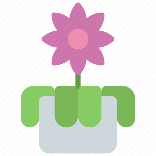 Orchids, gardening, flower, potted, plant icon - Download on Iconfinder