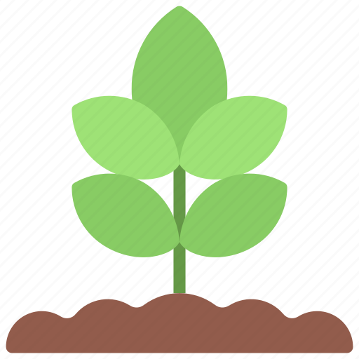 Plant, in, ground, gardening, gardener, flower icon - Download on Iconfinder