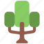 rectangular, tree, gardening, plant, greenery 