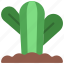 round, cactus, in, ground, gardening, cacti 