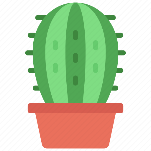 Rounded, cactus, botany, house, succulent icon - Download on Iconfinder
