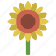 sunflower, stem, gardening, flower, bloom 