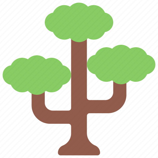 Tall, branching, tree, gardening, plant icon - Download on Iconfinder