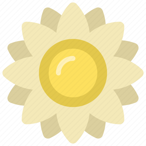 Water, lilly, gardening, flower, blossom icon - Download on Iconfinder