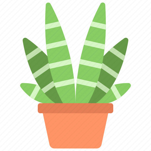 Zebra, plant, gardening, potted, pot icon - Download on Iconfinder