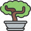 bonsai, tree, gardening, potted, plant