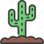 cactus, in, ground, gardening, cacti 