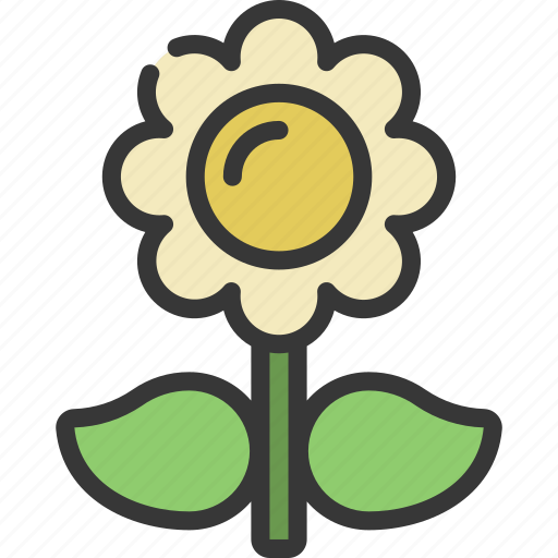 Daisy, gardening, flower, bloom, blossom icon - Download on Iconfinder