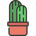 double, cactus, botany, house, succulent
