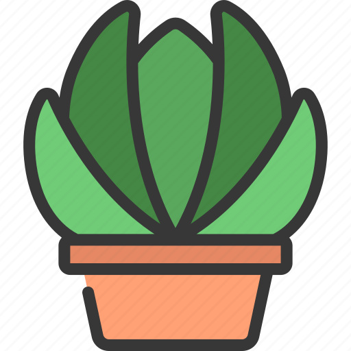 Echeveria, gardening, potted, pot, plant icon - Download on Iconfinder
