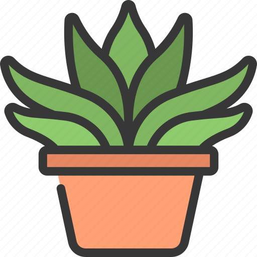 Gasteria, gardening, flower, potted, plant icon - Download on Iconfinder