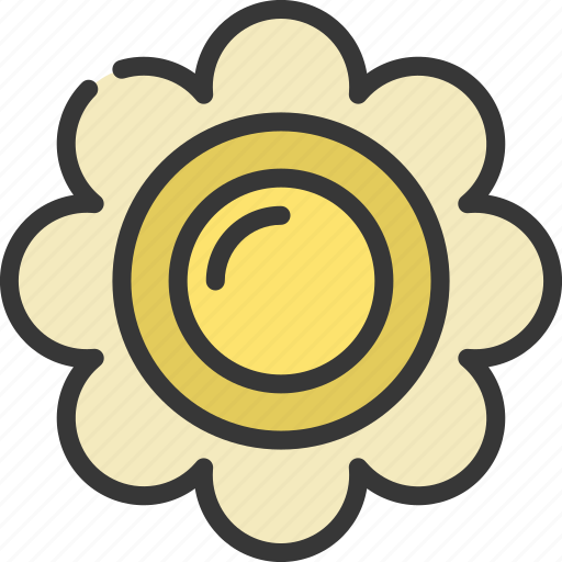Large, daisy, gardening, botany, flower icon - Download on Iconfinder