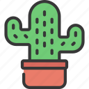 mini, cactus, botany, house, succulent