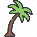 palm, tree, gardening, island, coconut