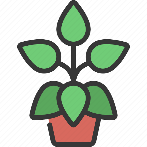 Peperomia, gardening, flower, potted, plant icon - Download on Iconfinder