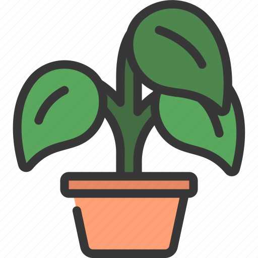 Peperomia, gardening, plant, potted, pot icon - Download on Iconfinder