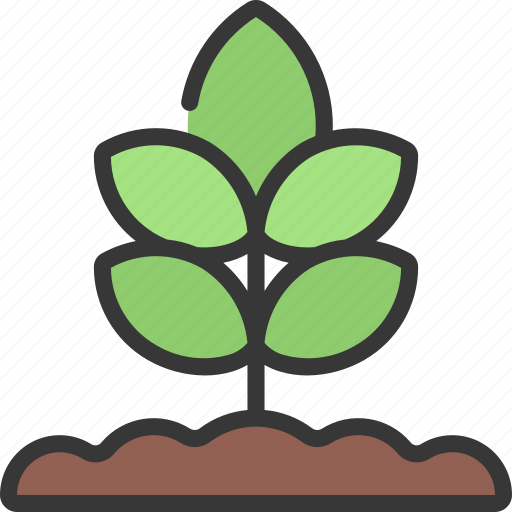 Plant, in, ground, gardening, gardener, flower icon - Download on Iconfinder