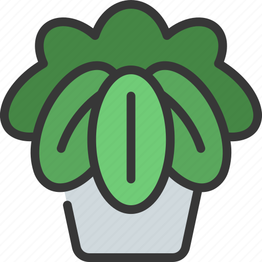 Pothos, plant, gardening, pot, potted icon - Download on Iconfinder