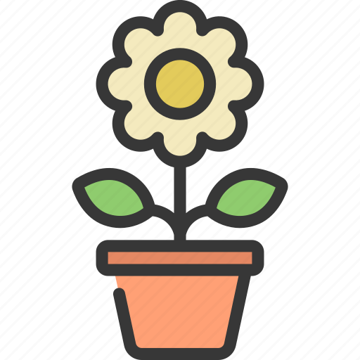 Potted, daisy, gardening, botany, flower icon - Download on Iconfinder