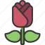 rose, gardening, botany, flower 