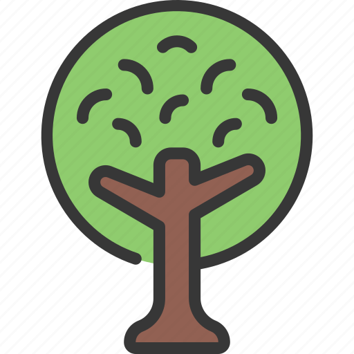 Round, tree, gardening, evergreen, plant icon - Download on Iconfinder