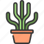 tall, thin, cactus, gardening, cacti, potted 