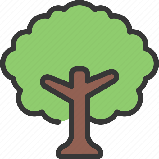 Tree, gardening, plant, greenery, evergreen icon - Download on Iconfinder