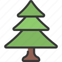 triangle, shaped, tree, gardening, evergreen