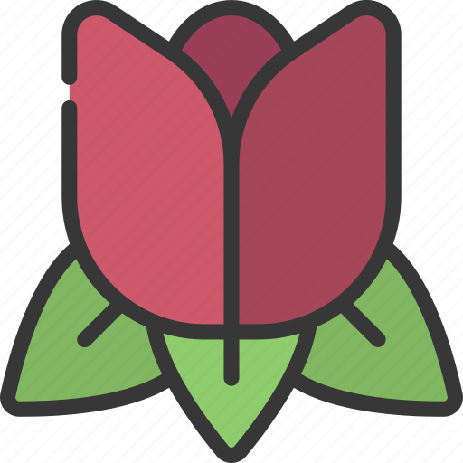 Tulip, large, gardening, flower, tulips icon - Download on Iconfinder