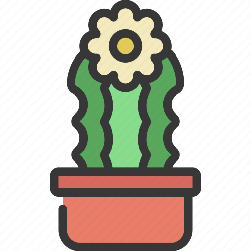 Waved, cactus, with, daisy, gardening, cacti icon - Download on Iconfinder