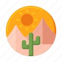 desert, cactus, nature
