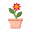 houseplant, flower, plant 