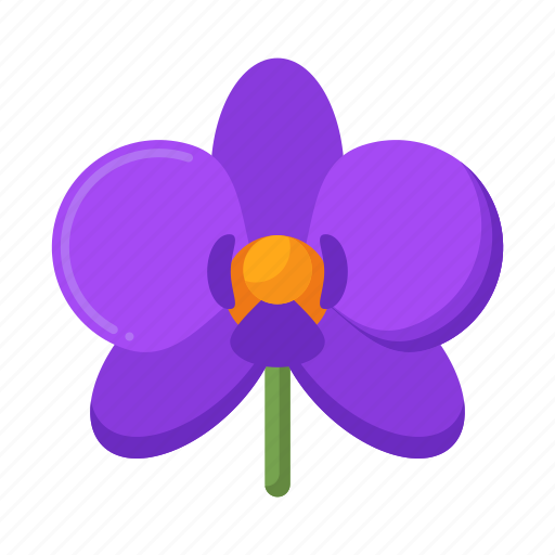 Orchid, flower, plant, nature icon - Download on Iconfinder