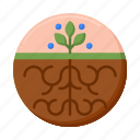 root, seed, plant, growth