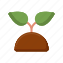 sprout, plant, nature, growth