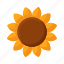 sunflower, flower, plant, nature 