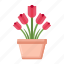 tulip, plant, nature, flower 