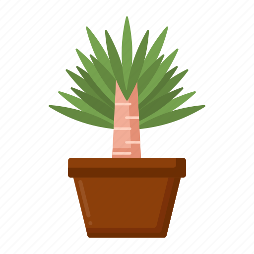 Yucca, plant, nature, tree icon - Download on Iconfinder