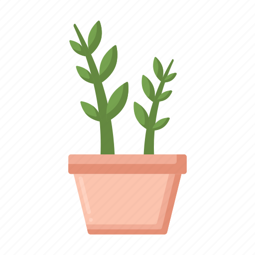 Zz, plant, nature, green icon - Download on Iconfinder