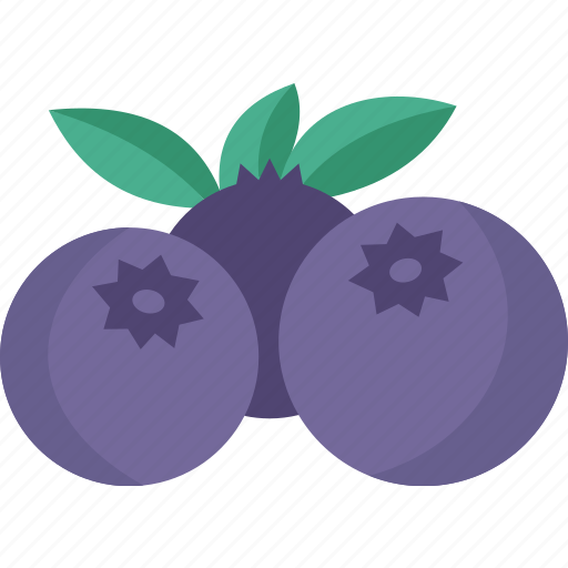Blueberries, fruit, berry, fresh, vitamin icon - Download on Iconfinder