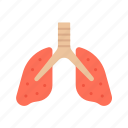 lungs, oxygen, carbon dioxide, breathing, asthma, bronchitis, emphysema, pulmonary health