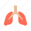 lungs, oxygen, carbon dioxide, breathing, asthma, bronchitis, emphysema, pulmonary health 