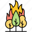 burning, trees, nature, tree, forest, park, hot, flame, plant 