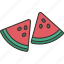 watermelon, fruit, fresh, juice, summer 