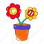 blooming flowers, flower pot, houseplant, decorative pot, garden pot 